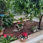 Ciccine Capaci