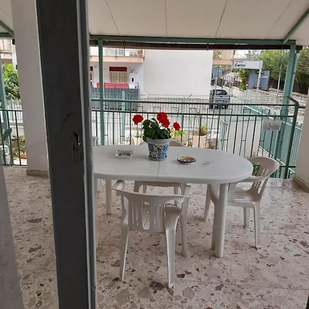 Ciccine كاباتشي