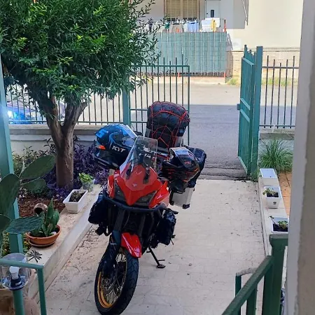 Ciccine كاباتشي